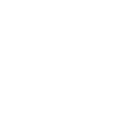 W3 inc